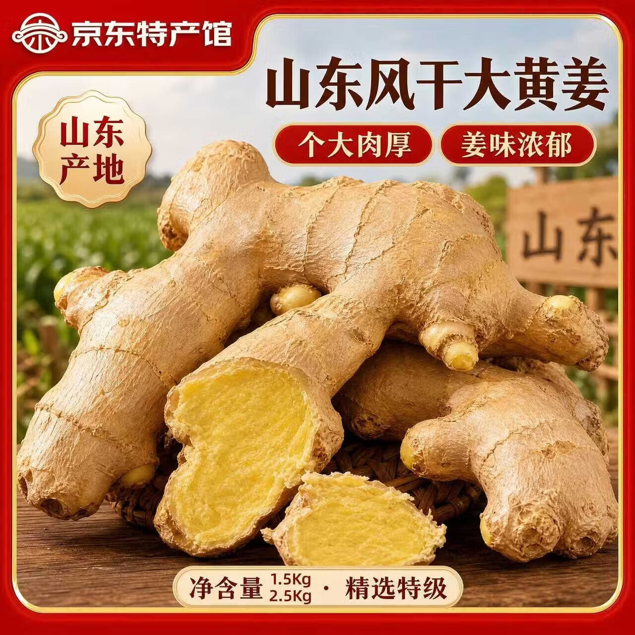 云禾青穗正宗山东大姜老姜生姜水洗风干姜块无泥黄姜新鲜无硫辛辣十足整箱 【风干黄姜】3斤