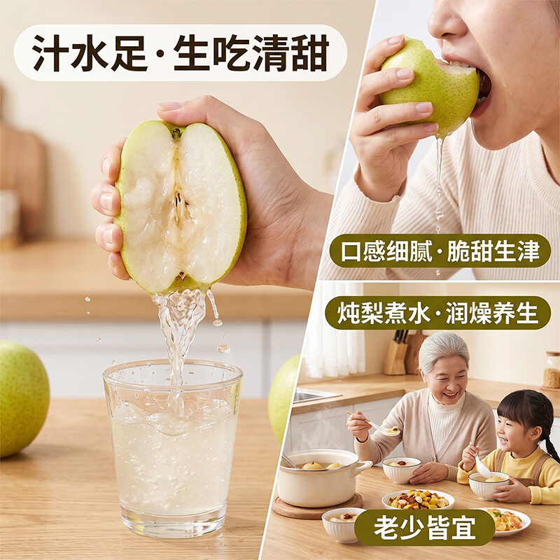 雪芬宁陵金顶谢花酥梨 当季现摘产地直发 脆甜多汁酥脆无渣 坏果包赔 酥梨净重4.5斤【单果250g+】