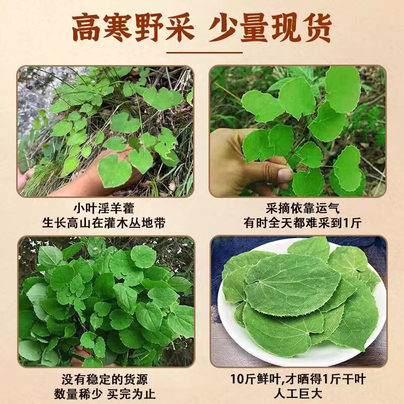 同仁堂甘肃野生特级淫羊藿叶片中药材正宗新货嗷嗷叫泡酒料泡水滋补男性 精切淫羊藿 125g*6罐 益精固本