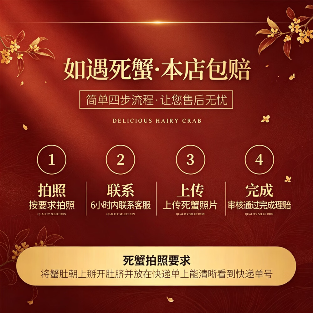 优鲜鸟中秋礼盒全母大闸蟹现货鲜活满黄螃蟹礼盒装母蟹2-2.3两（6只装） 母蟹2-2.3两（6只装）【精品礼盒】