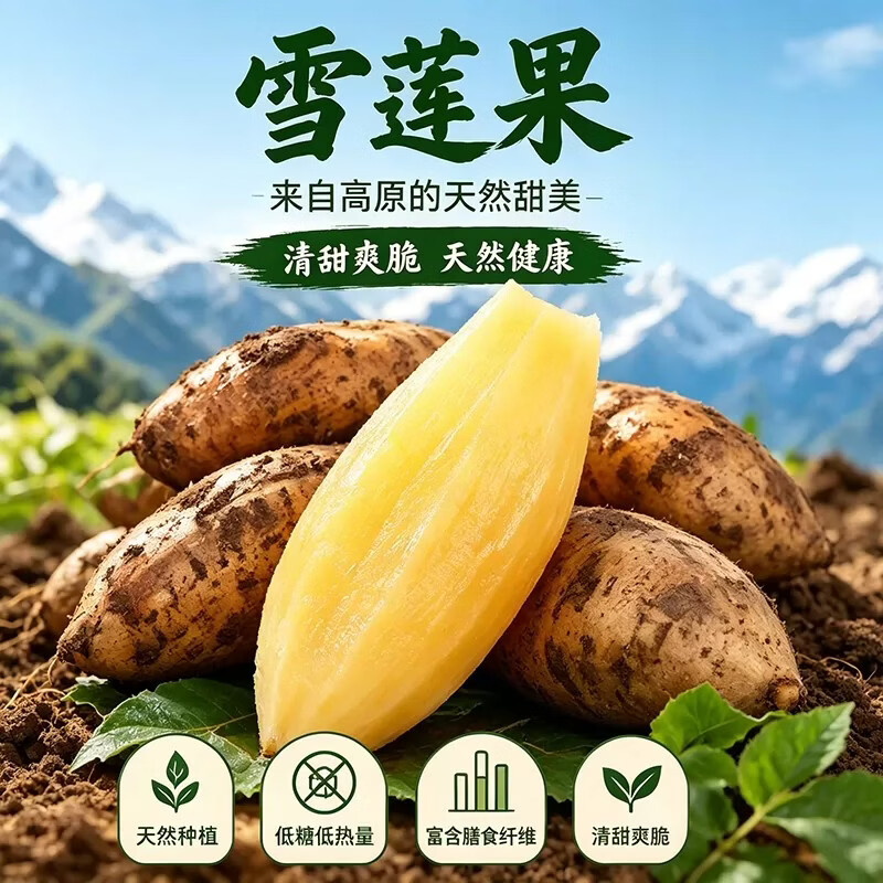 薏品甄鲜云南特产天山雪莲果 天山红泥沙雪莲果黄心新鲜水果生鲜水果 雪莲果净重5斤中果【单果150g+】送削皮刀 京东折扣/优惠券