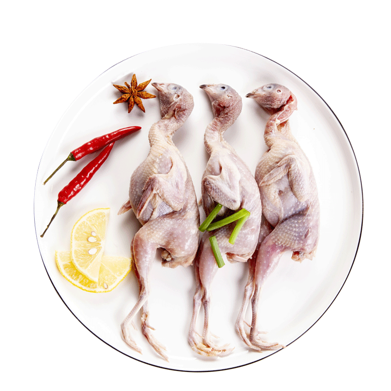 冷冻鹌鹑冻鲜10只生骨肉烧烤鹌鹑鸟冻俺鹑鸟鸽子肉商用 团建送礼生鲜