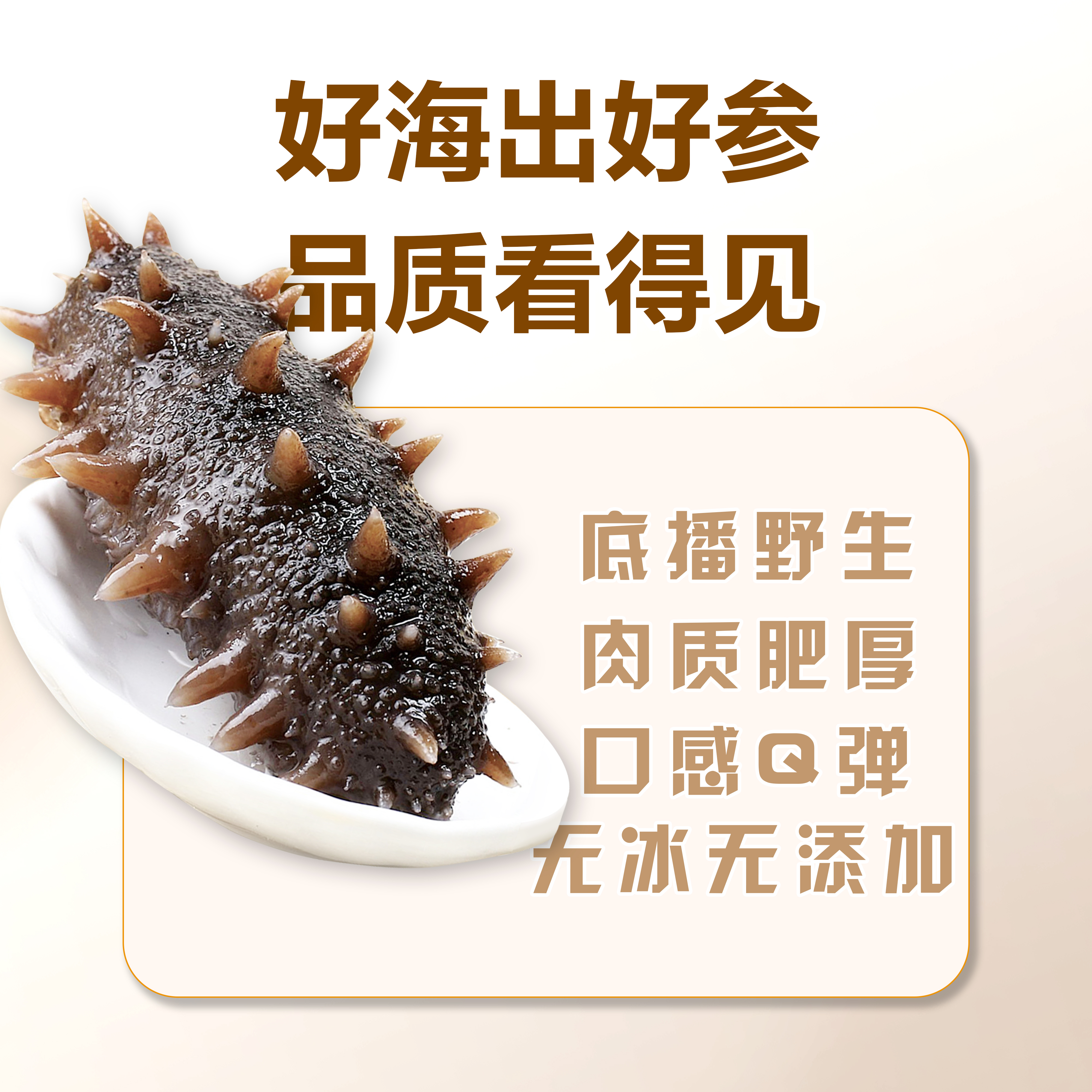 琴雨湾即食海参刺参500g(固形物不低于60%)大连海参中秋礼 即食海参4-5只(500g)