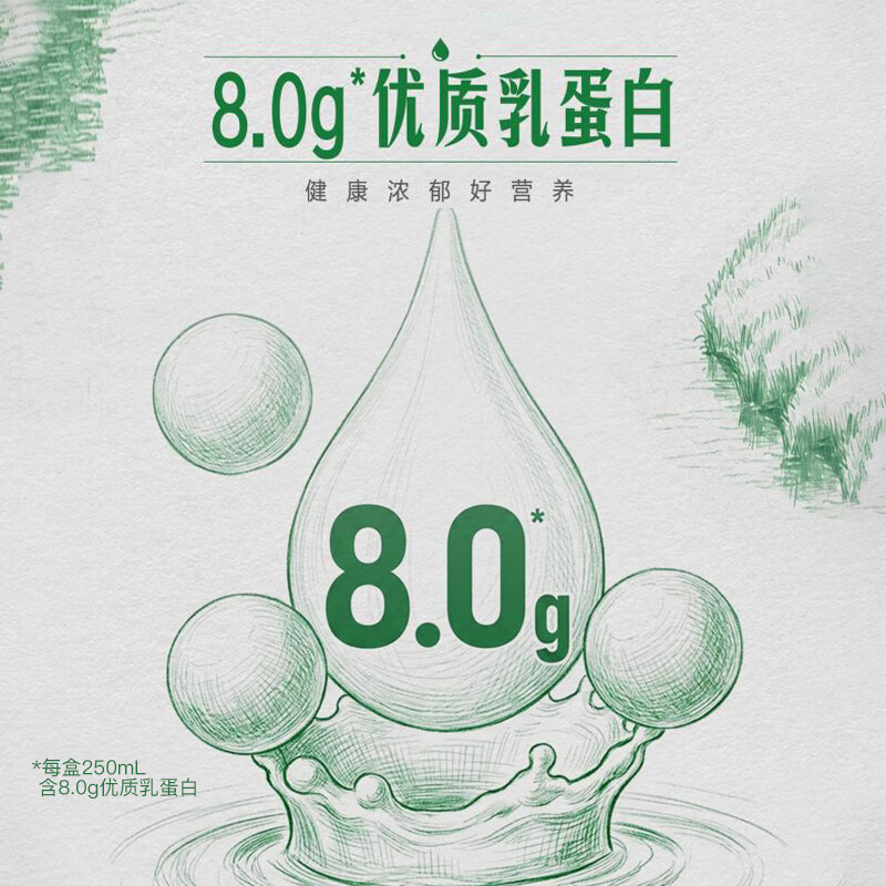 蒙牛【新鲜日期】全脂纯牛奶250ml*24盒 3.2g优质蛋白 图 3
