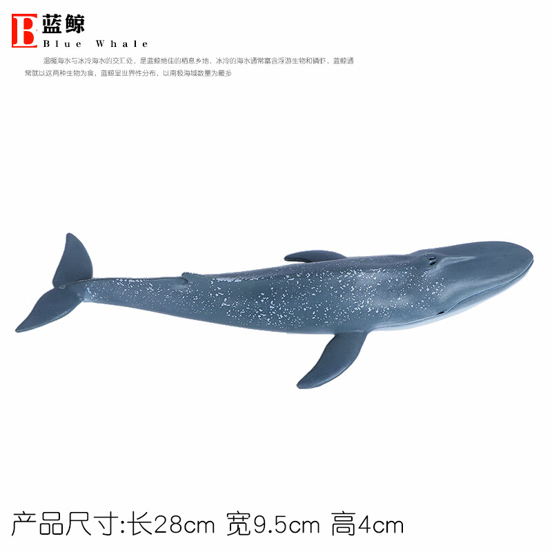 仿真海洋生物鲸鱼玩具动物模型大号弓头鲸虎鲸座头鲸一角鲸男儿童