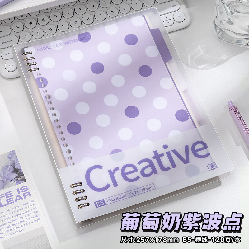 四季年华2026新款B5铁夹活页本学生专用笔记本子防水耐脏不硌手书写本加厚横线内页考试改错专用本可拆替芯 【葡萄奶紫】1本装60张/120页 无规格 京东折扣/优惠券
