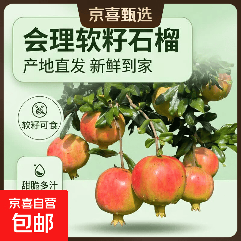 新鲜现发清甜会理软籽石榴产地直发新鲜水果 带箱4.5斤单果400g-500g