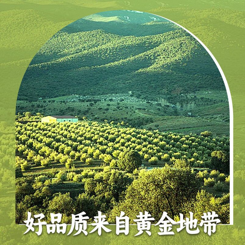 鞍山南果梨礼盒南国梨香水梨阳面果东北特产新鲜水果产地直发 家庭装 黄南果净果4.5斤（40枚小果）