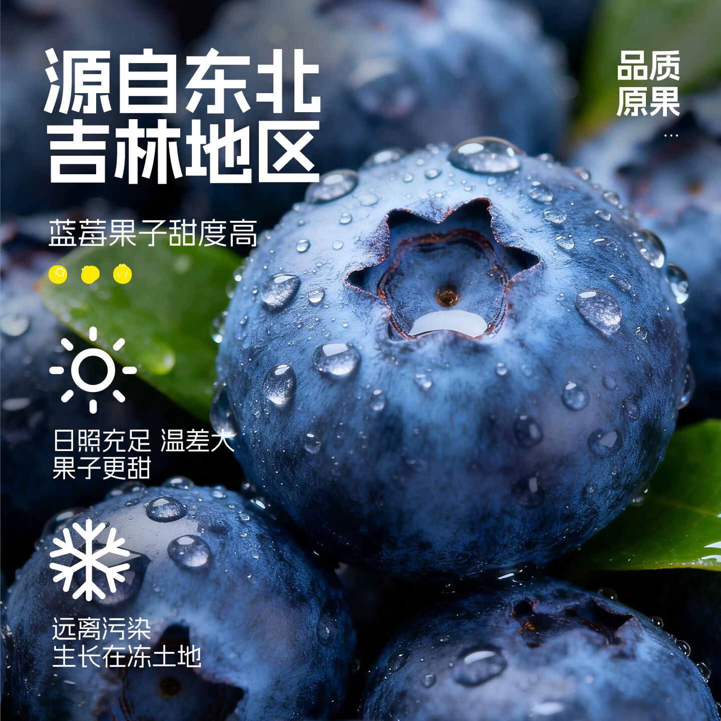 尚神厨零定律100%蓝莓汁原浆长白山鲜榨寒地蓝莓甜而不腻酸而不涩 【10箱】330ml*60瓶