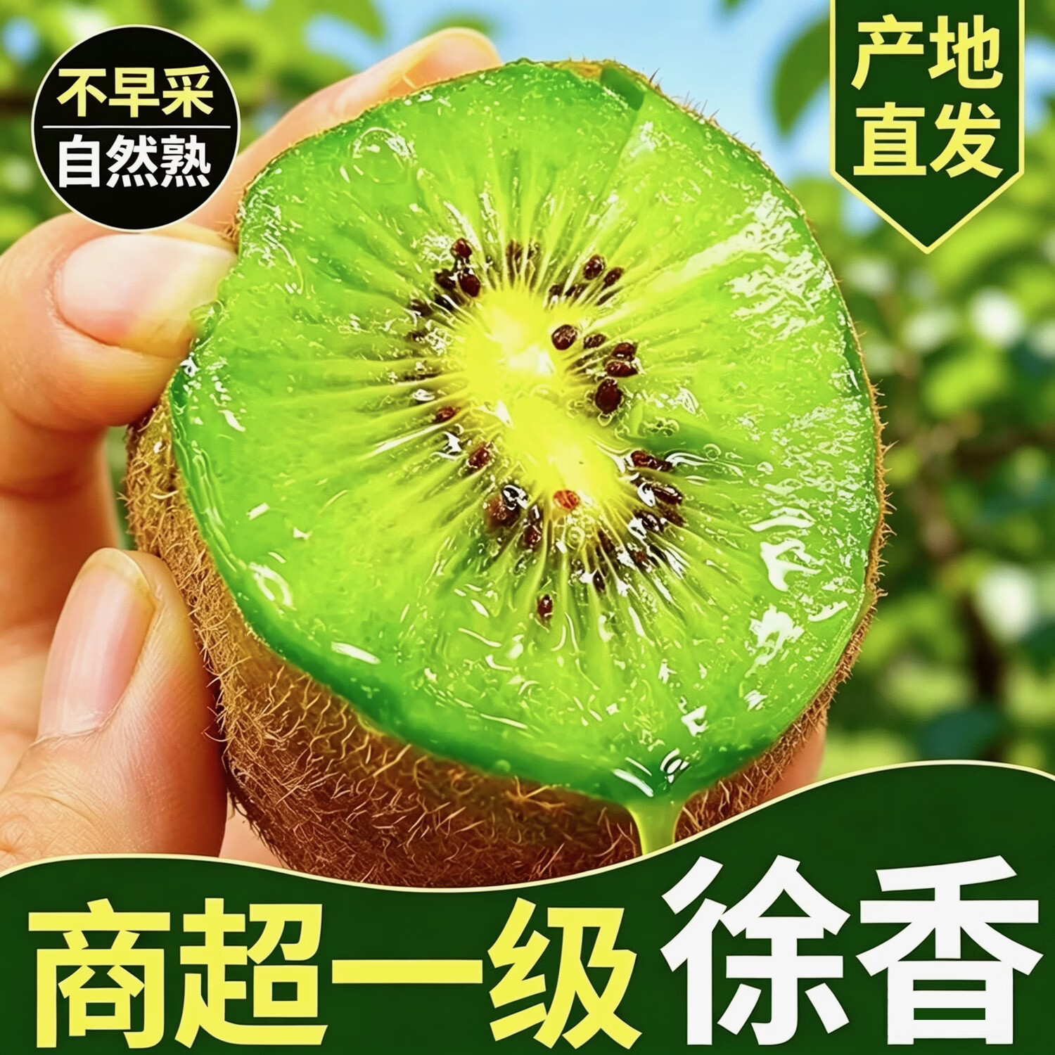 产地直发陕西眉县徐香猕猴桃大果10斤绿心奇异果应季水果包邮5斤 特大(100-130) 5斤