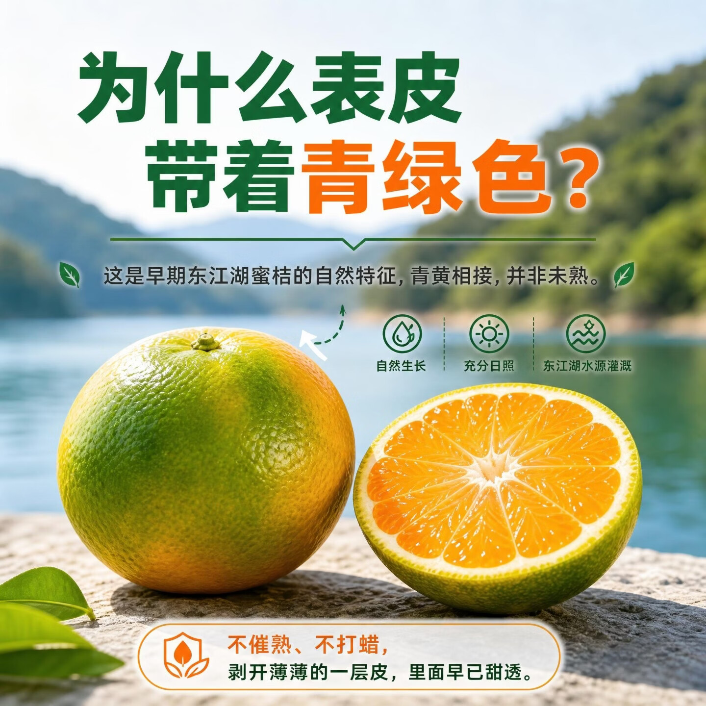 正宗湖南东江湖蜜桔郴州资兴清江蜜橘子现摘新鲜水果JD快递直发 精品大果5斤(果径60-65mm)