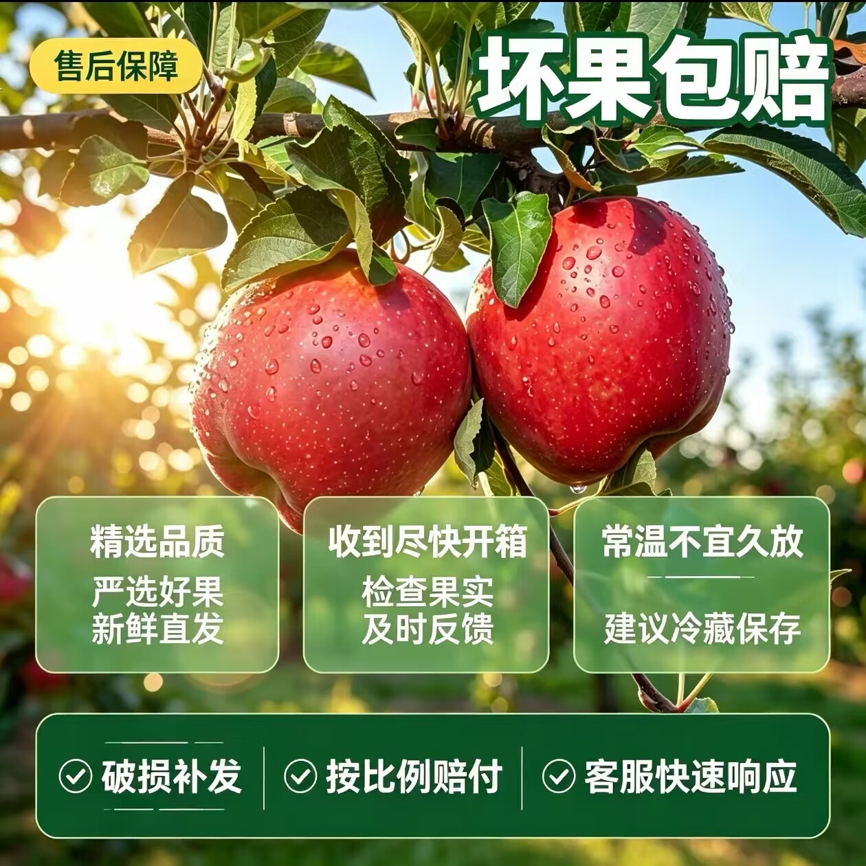 山西红星花牛苹果粉脆甜新鲜应季自然成熟不催熟无打蜡农家果整箱 小果 净重4.5斤(果径65-70)