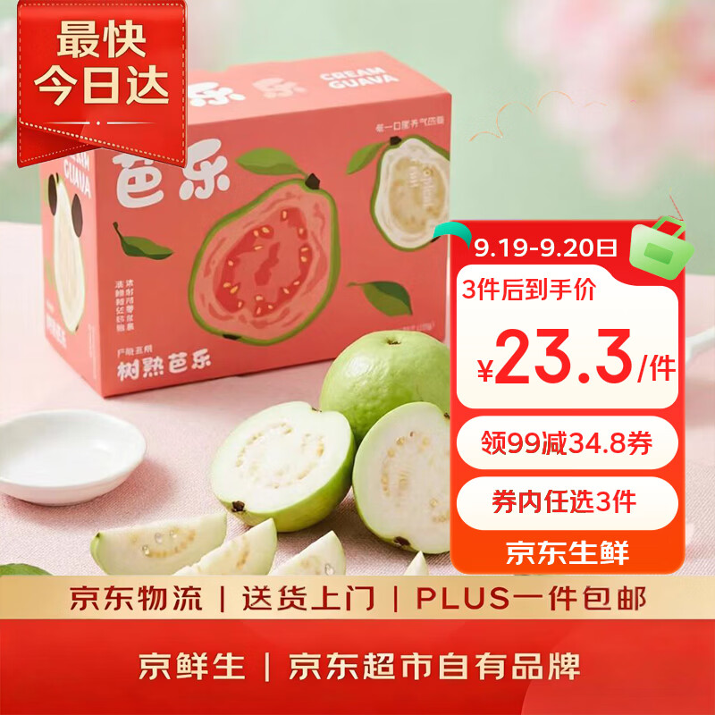 京鲜生 白心奶油芭乐/番石榴 净重3斤 单果150g+ 生鲜水果礼盒