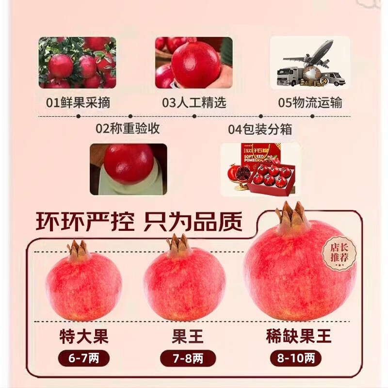 勇者无惧【正宗】四川会理突尼斯软籽石榴现摘现发当季孕妇水果中秋送礼 6枚礼盒装+礼袋【稀缺果王0.8-1斤】内置珍珠棉