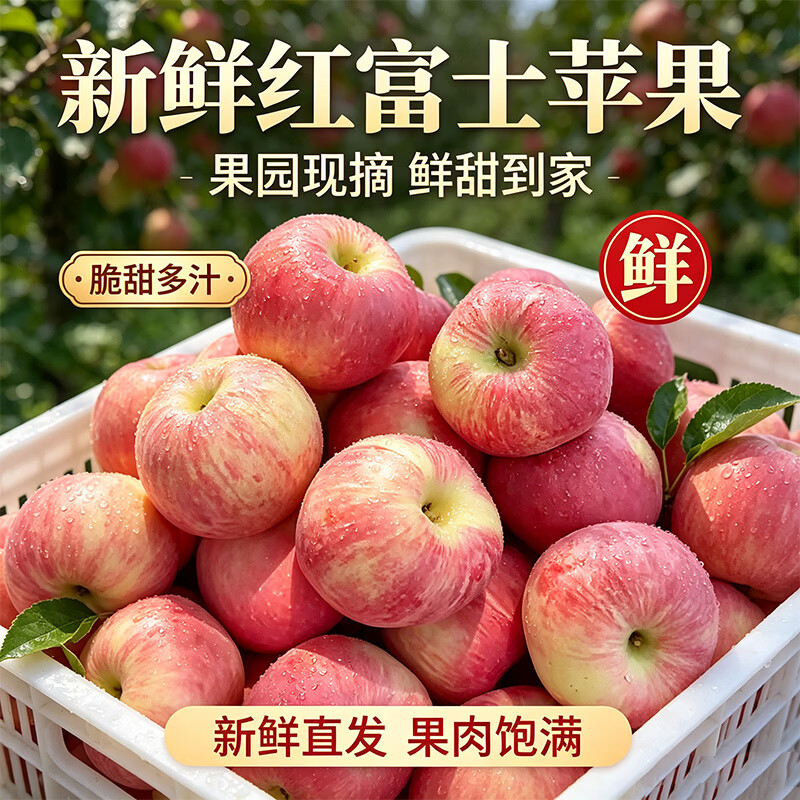莎凰山西运城红富士苹果 新鲜水果当季现摘 脆甜多汁自然果香果园直发 净重4.5斤【果径75mm+】