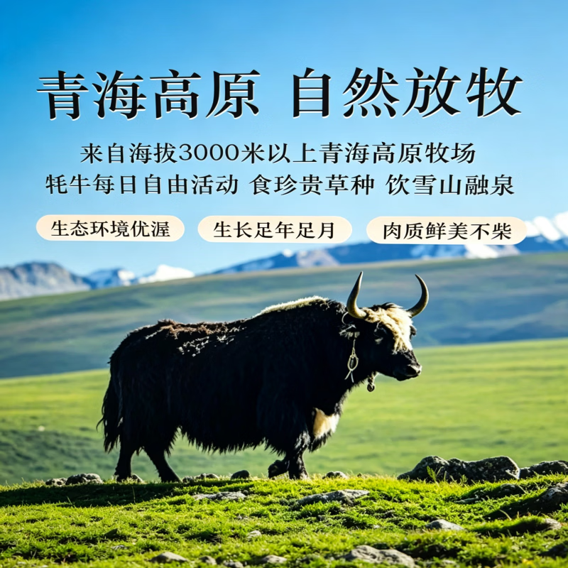 有机牦牛肉天然纯草饲牛肋条牛腩有机牦牛腱子肉高原产地顺丰直发 有机牦牛排骨(不是整块) 3斤