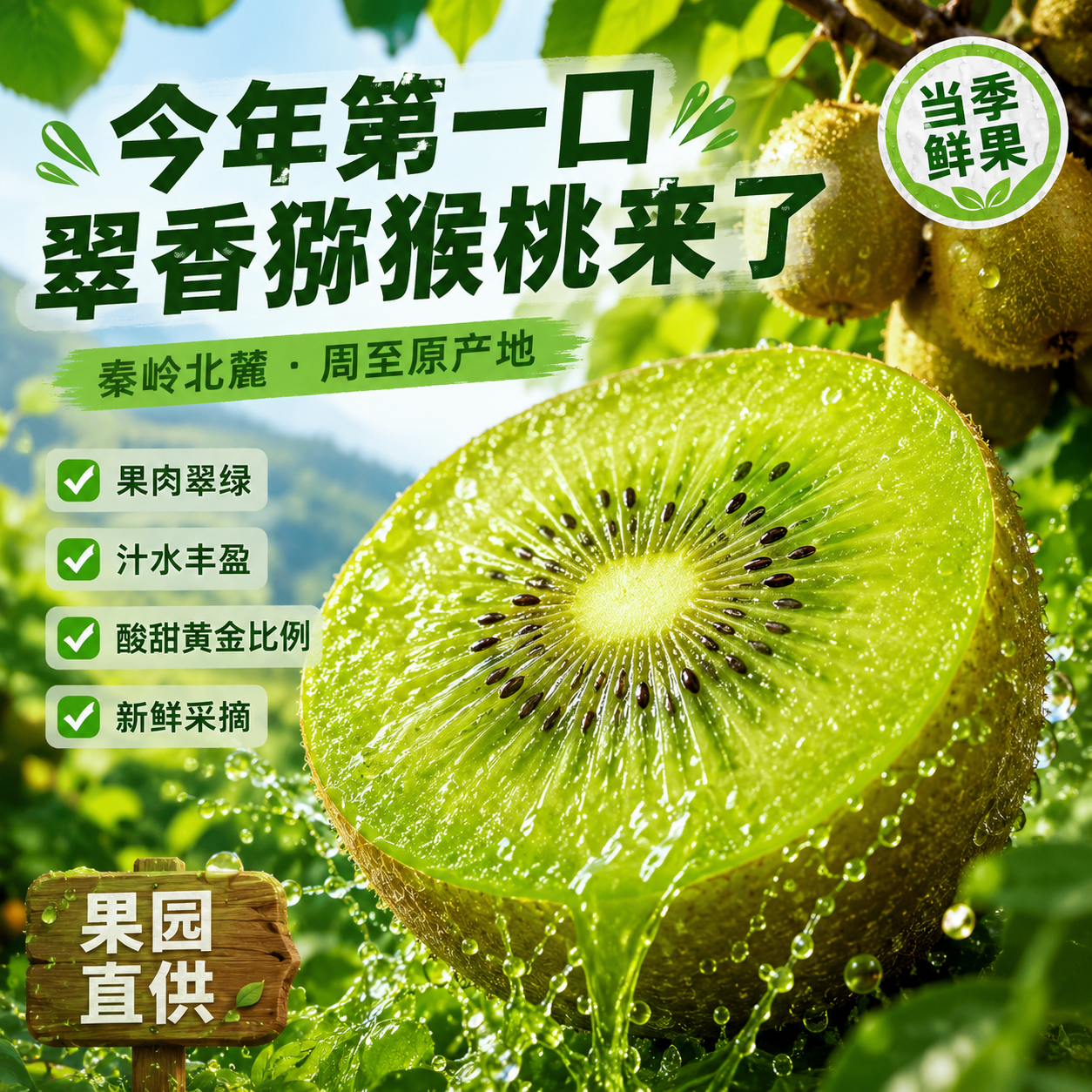 陕西翠香猕猴桃新鲜送礼首选水果 陕西翠香-5斤礼盒精品装(单果90~110g)