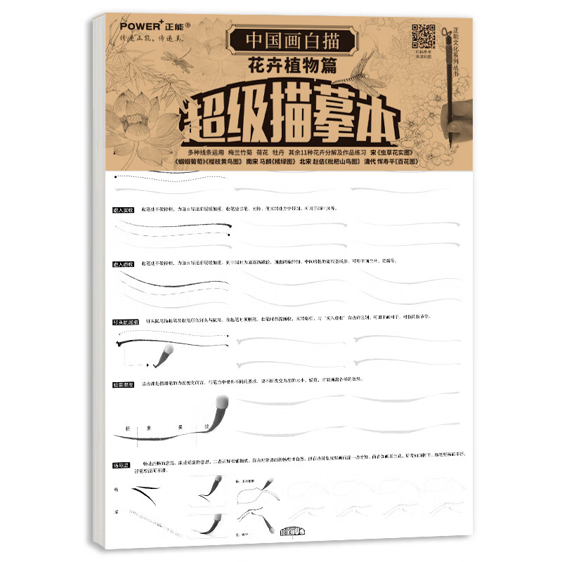 白描花卉植物描摹 工笔花卉白描入门 11种花卉分解练习牡丹荷花牵牛