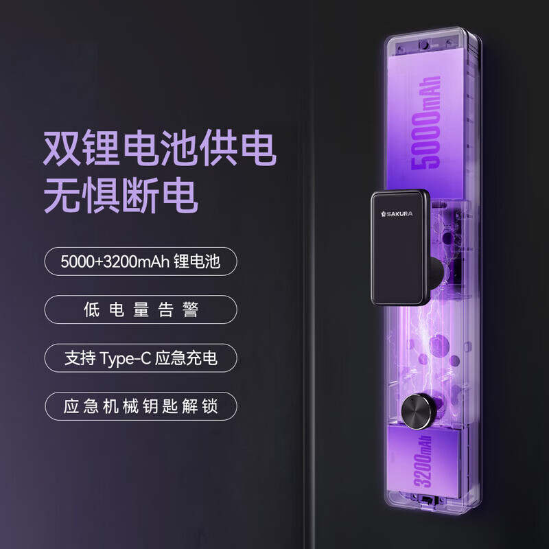 樱花锁业DZ-D50Pro人脸识别 智能锁 家用电子密码指纹锁 防盗门锁