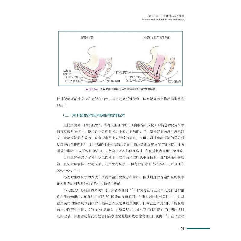 盆底疾病手术入路阿基利·卢西奥·加斯帕里中国科学技术出版社
