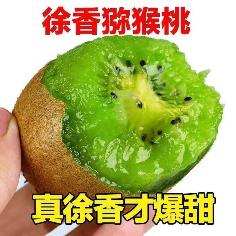 徐香猕猴桃新鲜水果现摘现发奇异果源头水果农户直发眉县孕妇猕猴 徐香猕猴桃(90-140g)普通包装36枚
