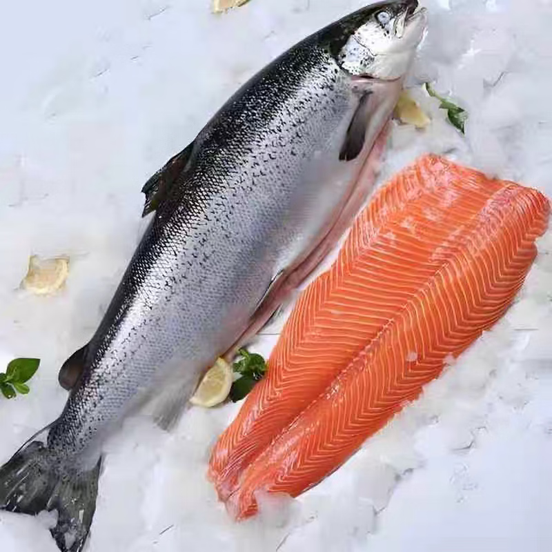 【顺丰冷链】正宗新疆三文鱼新鲜整条一整只开片刺身即食日料 10斤 整条去内脏-送芥末酱料