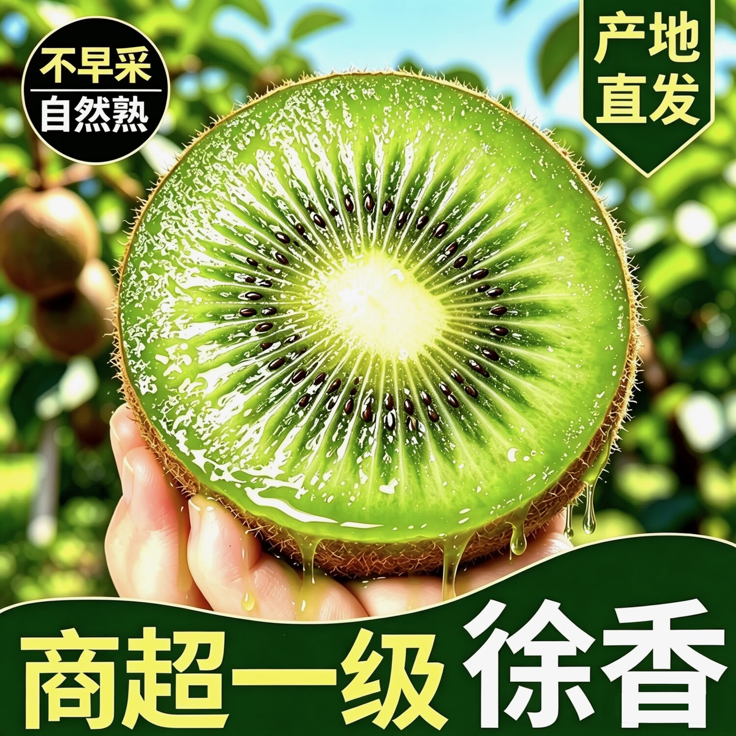 产地直发陕西眉县徐香猕猴桃大果10斤绿心奇异果应季水果包邮5斤 特大(100-130) 5斤