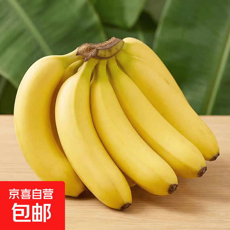 正宗自然高山香蕉单根蕉当季新鲜水果现摘青皮薄皮香甜财敏生鲜 香蕉带箱2斤