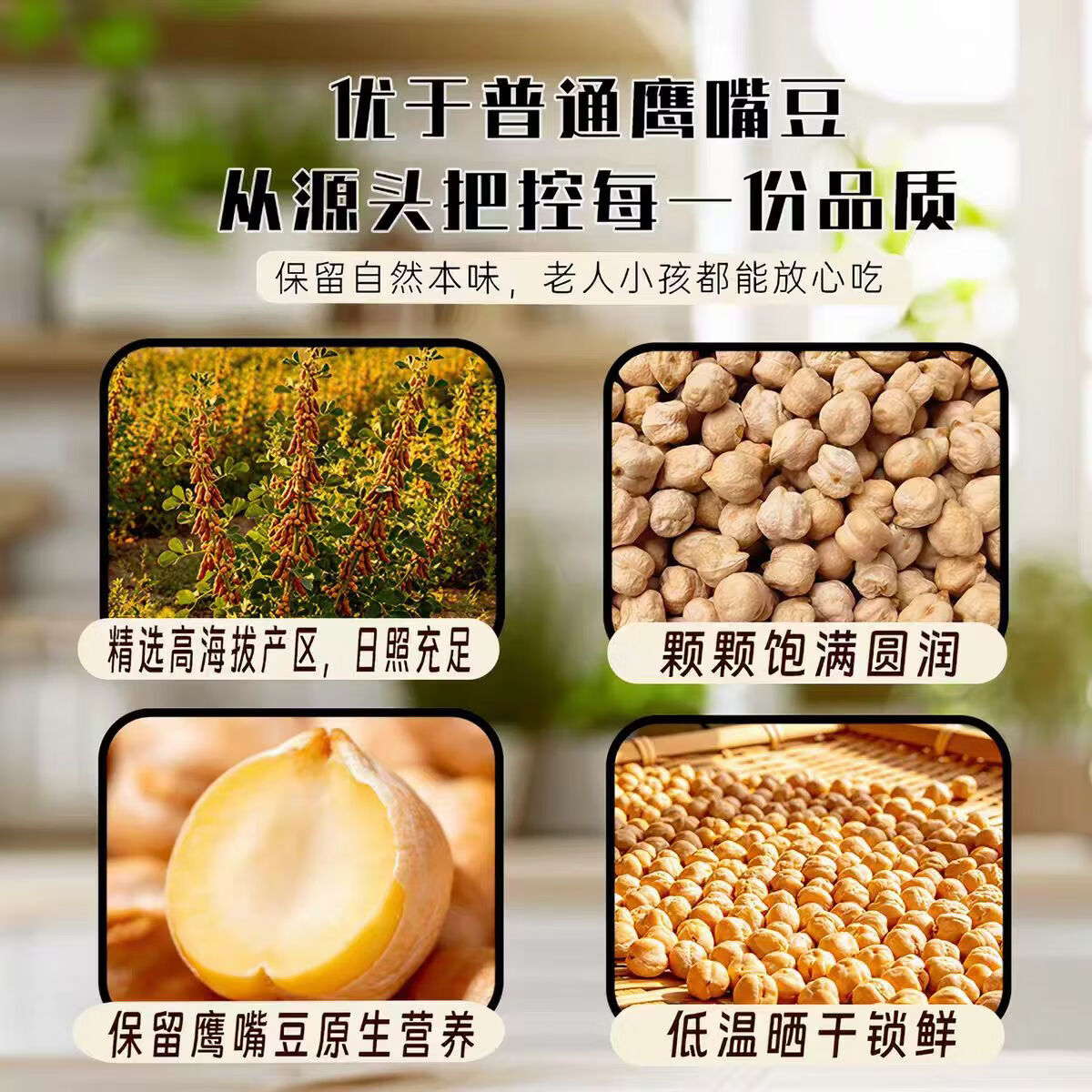 同仁堂正宗鹰嘴豆新疆有机即食原味炒熟无添加减脂零食新货无糖高蛋白 特级鹰嘴豆500g 250g*2罐