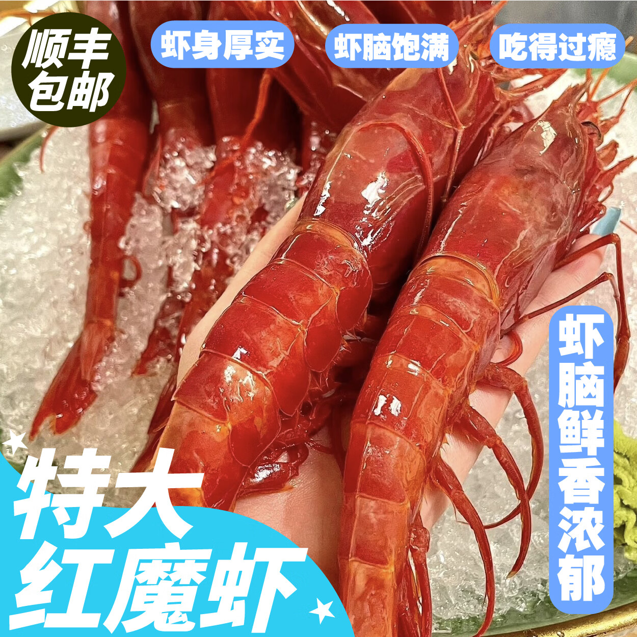 特大东海红魔虾深海大虾胭脂虾凉拌生腌刺身香煎商用鲜活冷冻顺丰 【特大号1盒装】到手5-6只 260g(净重)  约18cm虾脑充足 京东折扣/优惠券