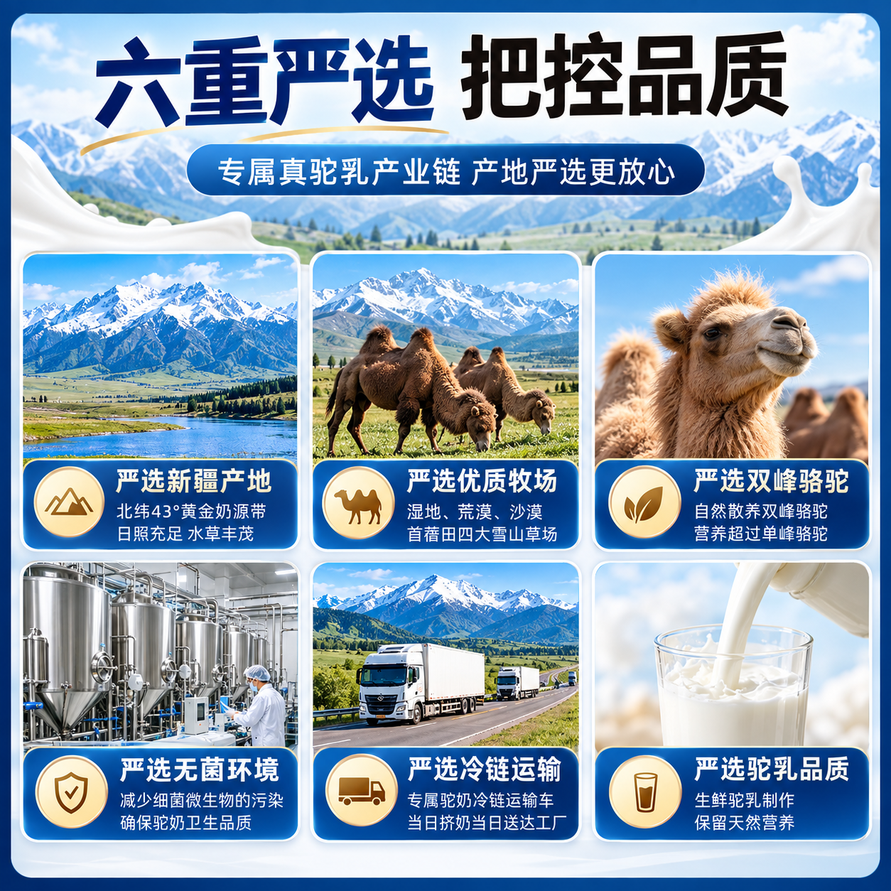 西域胖东来同款新疆正宗骆驼奶粉新疆正品中老年人增强免疫药食同源 四重专利 正品保障 330g*1罐 (体验装) 新疆正宗骆驼奶粉