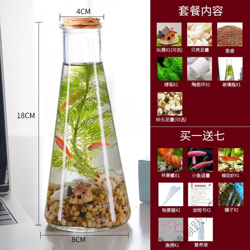 晗畅生态瓶观赏小鱼diy微景观免换水造景材料活动礼物水草斑马小鱼缸 锥形黄金沙款使用感如何?
