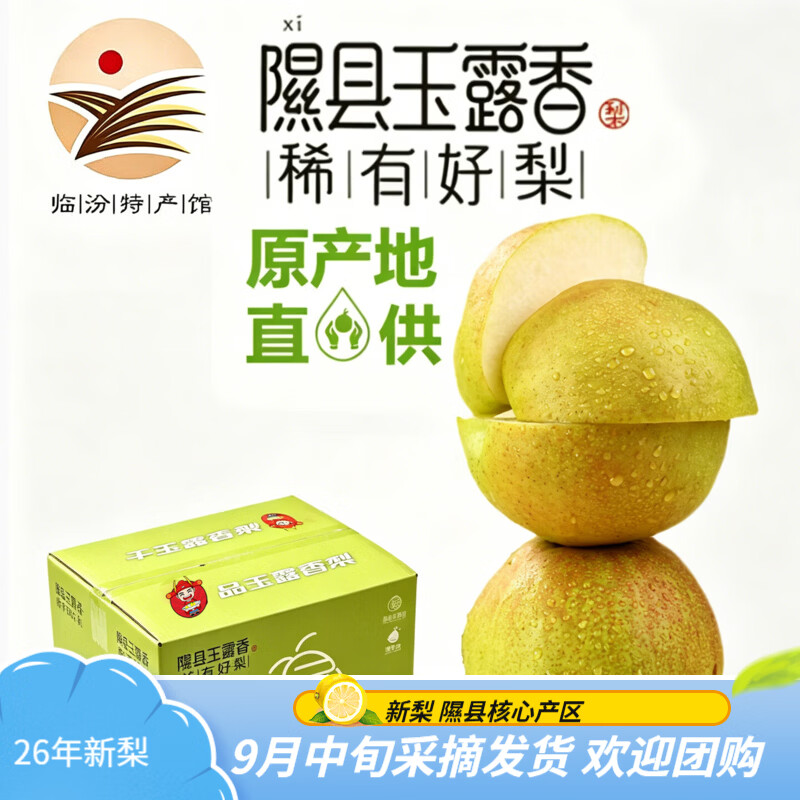 香凝山西隰县玉露香梨  隰县香梨8斤中小果（18颗装-山西特产生鲜水果