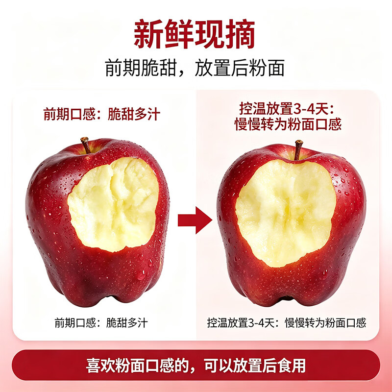 莎凰甘肃天水花牛苹果水果面苹果当季新鲜水果 中秋送礼 净重4.5斤 单果70mm+