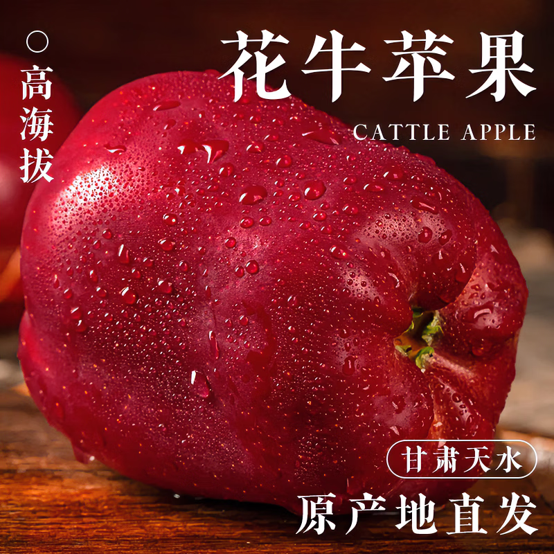 三萌果蔬花牛苹果正宗甘肃天水现摘水果新鲜整箱当季糖心红蛇粉面丑平安果 5斤甄选装【品质甄选】净4.5斤