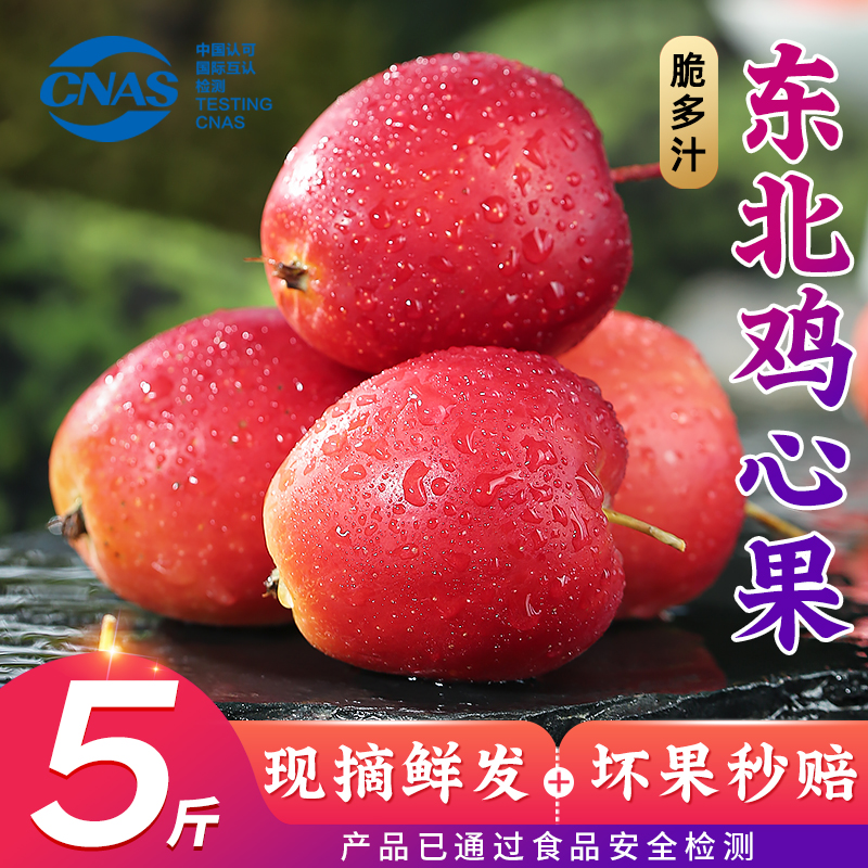 优味集正宗东北鸡心果新鲜水果应季锦绣海棠果小苹果脆甜沙果孕妇生鲜 5斤装丨甄选大果丨净4.8-5斤