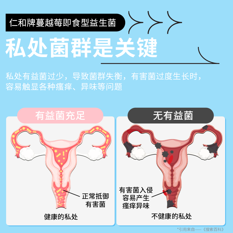 仁和益生菌12000亿活性菌株益生元儿童女性通用乳酸菌保质期26.11.20 【强护私密】1.2W亿活性菌益生菌 20条*1盒 买2送1(实发3盒)
