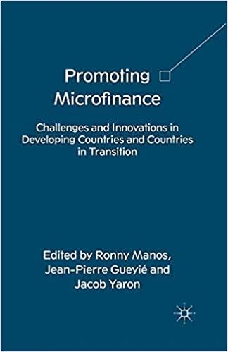 预订 promoting microfinance