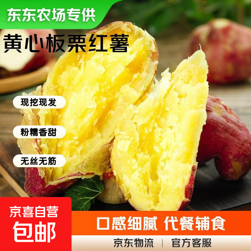 【东东农场专供】陕西正宗临潼板栗红薯粉面香甜新鲜现挖源头直发 5斤大果【单果3两起】净重 粉糯香甜
