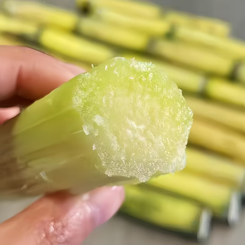 豔疅正宗广西黄皮甘蔗特产新鲜应当季生鲜水果整箱热带水果黄皮脆甜蔗 净重9-10斤【精选中段|配刀】砍断发货