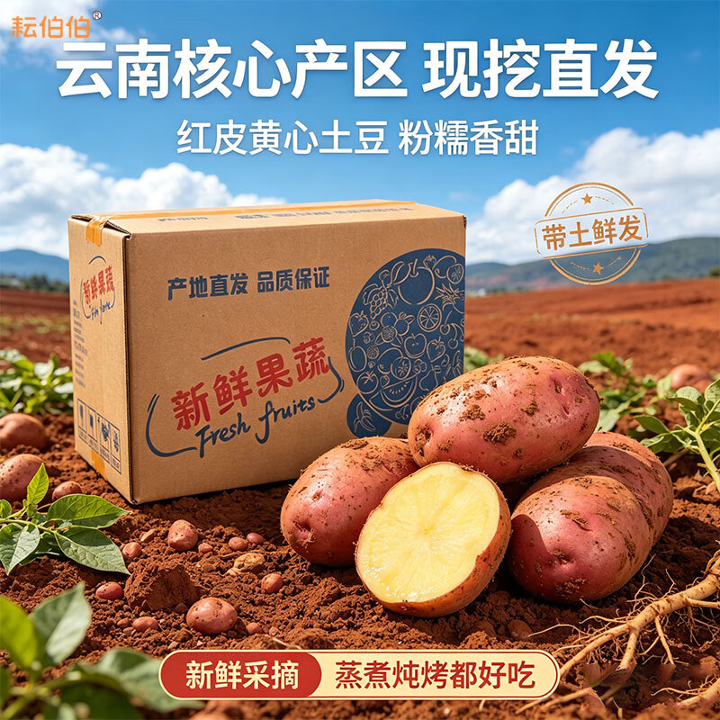 耘伯伯【新上市】正宗云南红皮土豆农家现挖黄心洋芋马铃薯批发新鲜蔬菜 高山精品红皮土豆-沙糯 净重9斤精选中果【单果2两以上】
