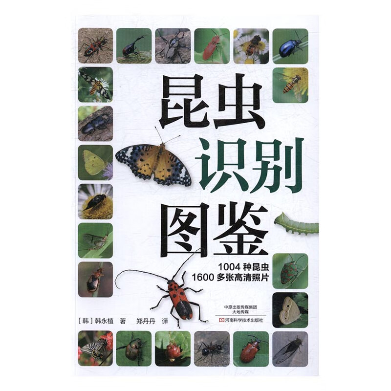 昆虫识别图鉴 科学与自然 书籍