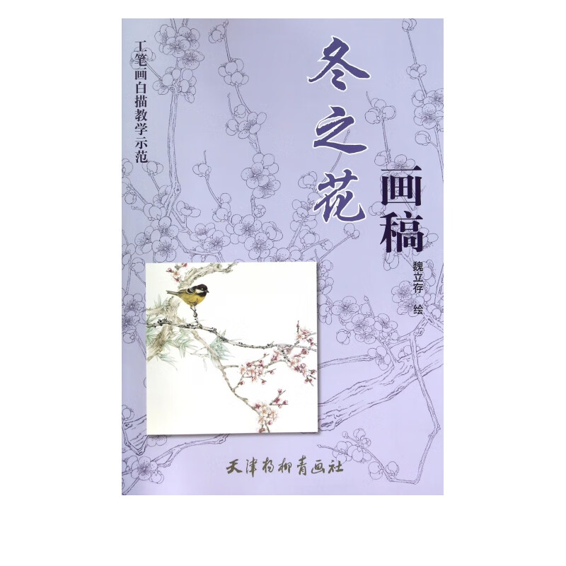 冬之花画稿(工笔画白描教学示范)