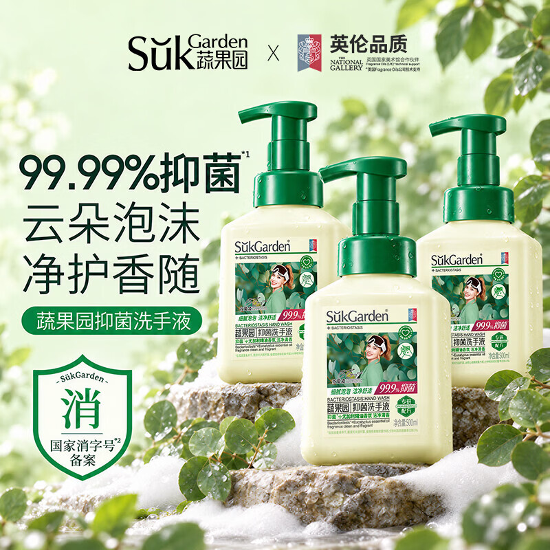 蔬果园泡沫洗手液 泡泡洗手液清洁护手保湿儿童成人通用家庭装洗手液 【99.9%抑菌】尤加利500ml*3瓶