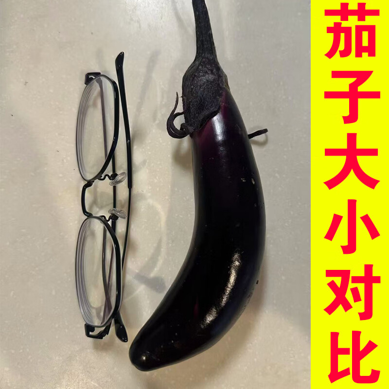 东北水果小紫茄子蒜茄子紫把新鲜蔬菜现摘现发农家自种当季可生吃 蒜茄子专用小茄子 5斤 大约30根左右小