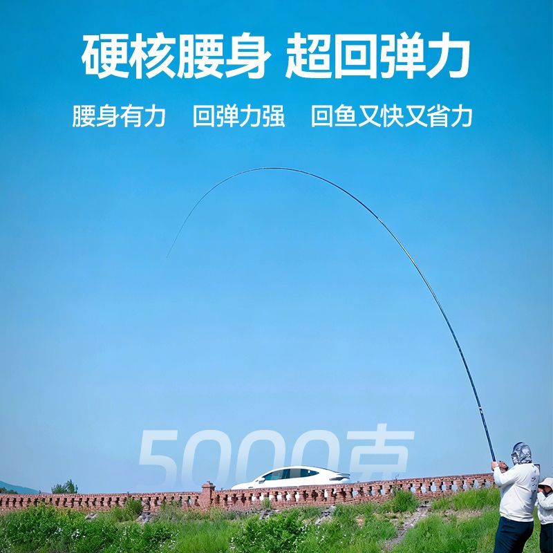达瓦菱然X1轻量大物杆鲢鳙竿日本进口碳素鱼竿手杆超轻超硬青草巨物竿鱼杆 8.1m 【巨物版 强韧腰力 性能怪兽】 6H19调