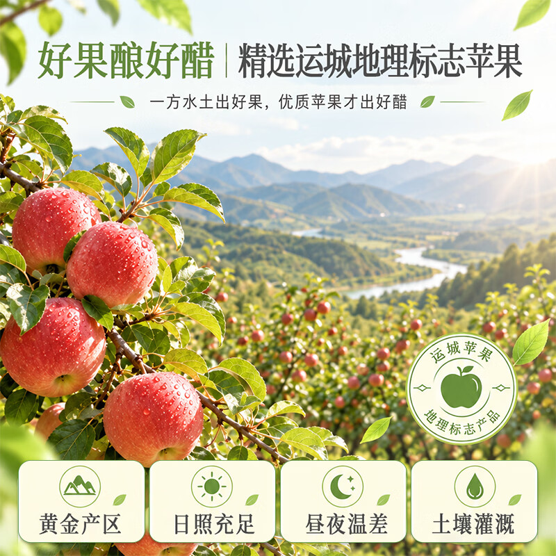 亿佳果园 苹果醋无糖饮料0糖0脂纯果汁发酵清爽解腻酸甜可口 无糖果醋300ml*12瓶