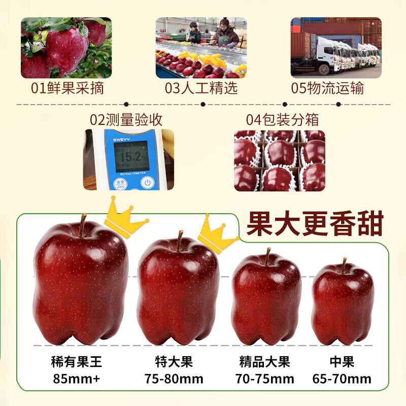 东鲜丰甘肃天水花牛苹果蛇果2026年新果花牛蛇果新鲜苹果水果多仓发货 花牛苹果净重4.5斤彩箱【单果70mm+】12-14枚