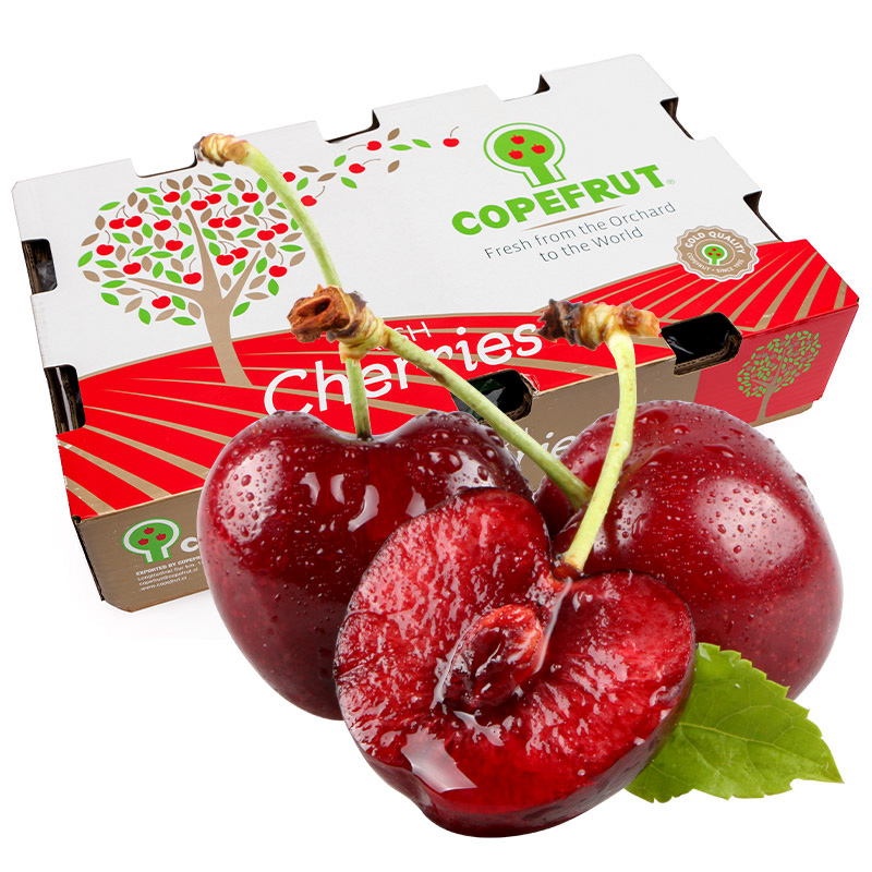 智利原箱进口车厘子 5kg礼盒装 JJ级（果径28-30mm）大樱桃 新鲜水果