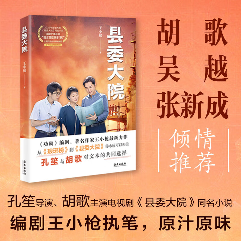 县委大院 王小枪著 电视剧同名小说 孔笙